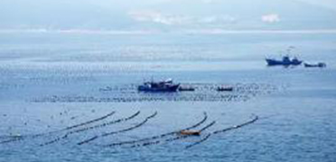 生态环境部等7部门联合印发《重点海域综合治理攻坚战行动方案》