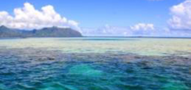 生态环境部等6部门联合印发《“十四五”海洋生态环境保护规划》